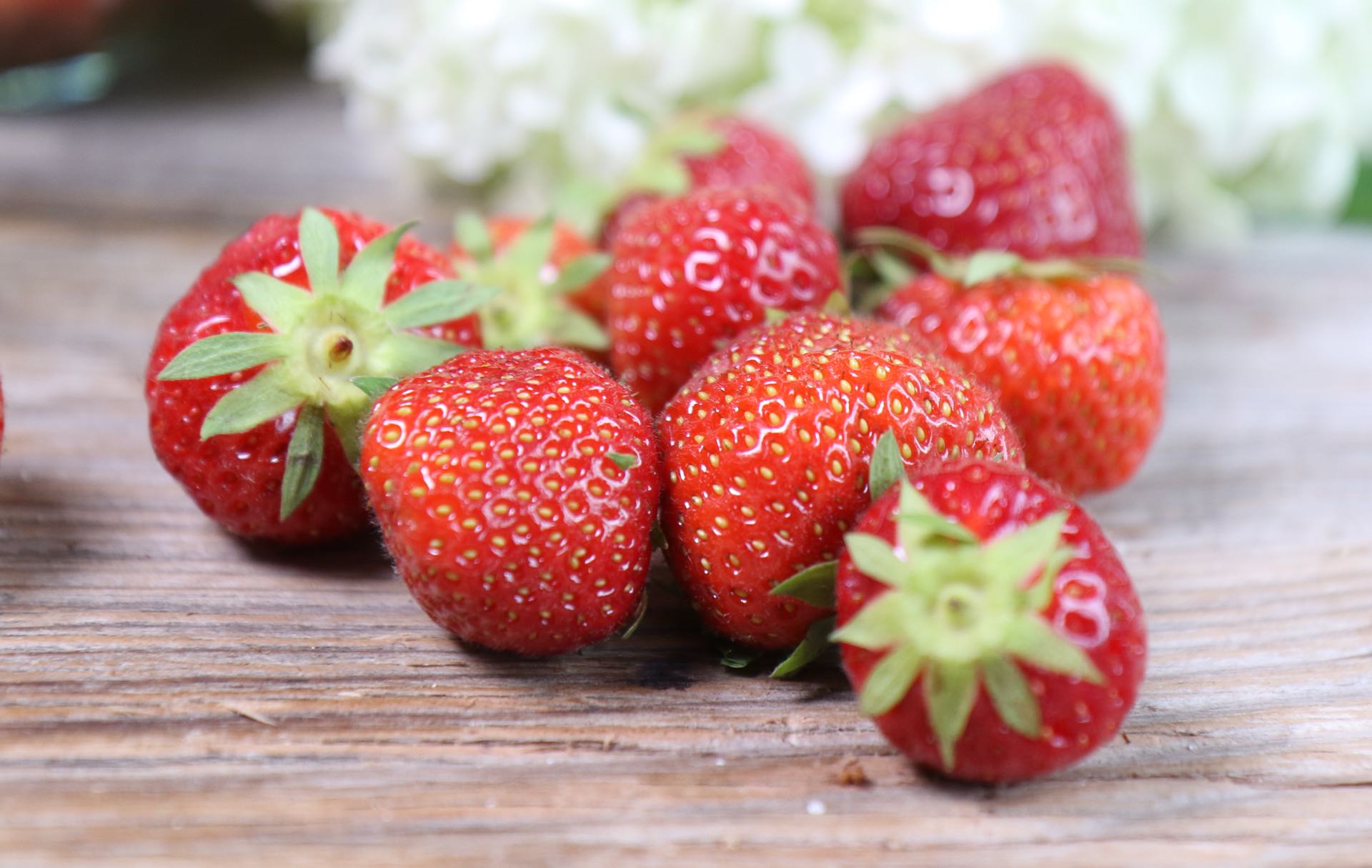 Erdbeeren strawberries