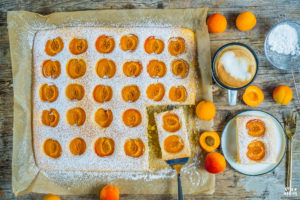 Fluffiger Aprikosenkuchen vom Blech