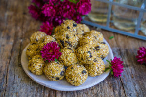 Protein Kugeln, ohne Mixer, ohne Nüsse, ohne Datteln vegan
