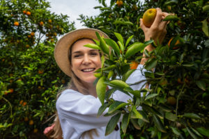 Orangen Plantage Fairtrade Brasilien Mrs Flury