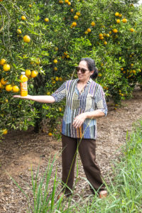 Orangen Plantage Fairtrade Brasilien Mrs Flury